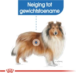 Royal Canin Light Weight Care Maxi - Hondenvoer - 12 Kg -Hondenartikelen Winkel 1200x1161 1