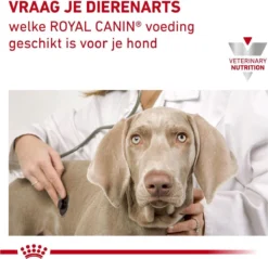 Royal Canin Urinary U/C Low Purine - Hondenvoer - 14 Kg -Hondenartikelen Winkel 1200x1161 3
