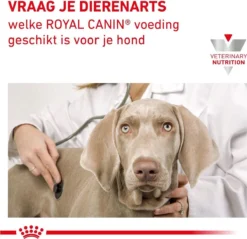Royal Canin Hepatic Diet - Hondenvoer - 12 Kg -Hondenartikelen Winkel 1200x1161 4