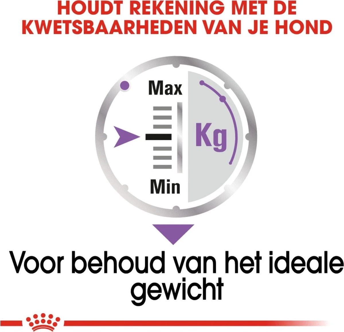 Royal Canin Ccn Sterilised Wet - Hondenvoer - 12x85 G 4 Royal Canin Ccn Sterilised Wet - Hondenvoer - 12x85 G - Afbeelding 4