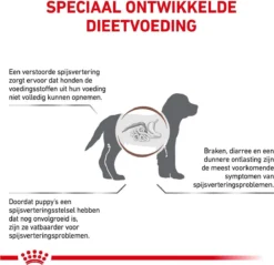 Royal Canin Gastro Intestinal Junior - Tot 12 Maanden - Hondenvoer - 10 Kg -Hondenartikelen Winkel 1200x1162 15