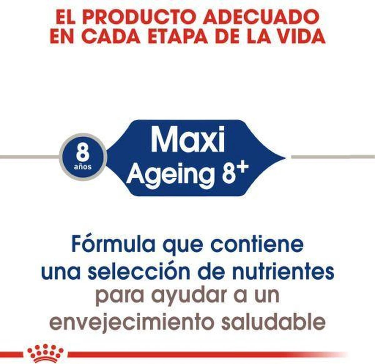 Royal Canin Maxi Ageing 8+ 15 KG 16 Royal Canin Maxi Ageing 8+ 15 KG - Afbeelding 16