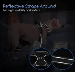 Nobleza 42ZHY - Hondenharnas - Hondentuigje - Anti Trek - L - Zwart 14 Nobleza 42ZHY - Hondenharnas - Hondentuigje - Anti Trek - L - Zwart -Hondenartikelen Winkel 1200x1167 38