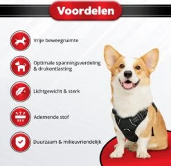 Purrr Fect Hondentuigje - Anti-Trek Tuig - Hondenharnas - Y Tuig Hond - Waterproof - Reflecterend - Verstelbaar - Maat L -Hondenartikelen Winkel 1200x1167 42