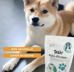 Toshi Multi Vitaminen Met Omega-3 - 100% Natuurlijke Hondensnack Voor Kleine En Grote Honden - Hondenkoekjes Voor Een Gezonde Levensstijl -Hondenartikelen Winkel 1200x1167 5