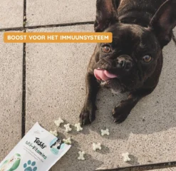 Toshi Multi Vitaminen Met Omega-3 - 100% Natuurlijke Hondensnack Voor Kleine En Grote Honden - Hondenkoekjes Voor Een Gezonde Levensstijl -Hondenartikelen Winkel 1200x1167 6