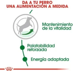 Royal Canin Mini Adult +8 8 KG 37 Royal Canin Mini Adult +8 8 KG -Hondenartikelen Winkel 1200x1168 1