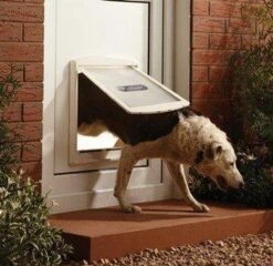 Staywell 777 Hondenluik - Large - Zilver/Tranparant 22 Staywell 777 Hondenluik - Large - Zilver/Tranparant -Hondenartikelen Winkel 1200x1168 15