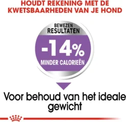 Royal Canin Mini Sterilised 8 KG 19 Royal Canin Mini Sterilised 8 KG -Hondenartikelen Winkel 1200x1168 3