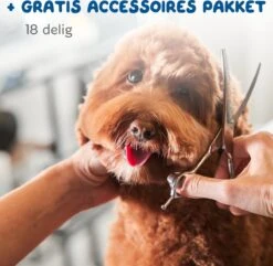 Pawwy Dieren Tondeuse Set Draadloos Voor Honden En Katten – Voor Dikke Vacht - Hondentondeuse – Hondentrimmer - Scheerapparaat - Goud -Hondenartikelen Winkel 1200x1170 19