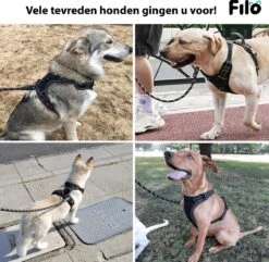 Filo Anti Trek Hondentuig S Met Hondenriem - Y Tuig Hond Verstelbaar - Hondentuigje Kleine Hond + Hondenlijn - Easy Walk Hondenharnas - Hondentuigjes - Leiband - Honden Tuigje - Puppy - Tuig - Hond 13 Filo Anti Trek Hondentuig S Met Hondenriem - Y Tuig Hond Verstelbaar - Hondentuigje Kleine Hond + Hondenlijn - Easy Walk Hondenharnas - Hondentuigjes - Leiband - Honden Tuigje - Puppy - Tuig - Hond -Hondenartikelen Winkel 1200x1170 23