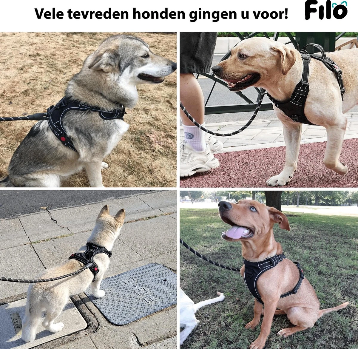 Filo Anti Trek Hondentuig S Met Hondenriem - Y Tuig Hond Verstelbaar - Hondentuigje Kleine Hond + Hondenlijn - Easy Walk Hondenharnas - Hondentuigjes - Leiband - Honden Tuigje - Puppy - Tuig - Hond 5 Filo Anti Trek Hondentuig S Met Hondenriem - Y Tuig Hond Verstelbaar - Hondentuigje Kleine Hond + Hondenlijn - Easy Walk Hondenharnas - Hondentuigjes - Leiband - Honden Tuigje - Puppy - Tuig - Hond - Afbeelding 5