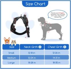 Nobleza 42ZHY - Hondenharnas - Hondentuigje - Anti Trek - L - Zwart 11 Nobleza 42ZHY - Hondenharnas - Hondentuigje - Anti Trek - L - Zwart -Hondenartikelen Winkel 1200x1172 18