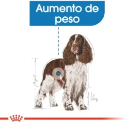 Royal Canin Light Weight Care Medium - Hondenvoer - 12 Kg -Hondenartikelen Winkel 1200x1172 3