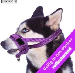 Sharon B Muilkorf Paars Maat M - Fleece - Wasbaar - Reflecterend 10 Sharon B Muilkorf Paars Maat M - Fleece - Wasbaar - Reflecterend -Hondenartikelen Winkel 1200x1173 6