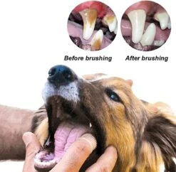 Doodadeals® 4 Stuks Siliconen Honden Tandenborstel - Tanden Borstel Hond - Silicone Dog Tootbrush - Multikleur -Hondenartikelen Winkel 1200x1175 10