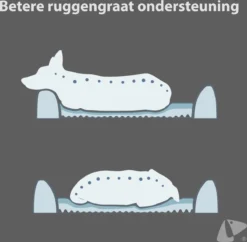 PETKIT® Four Season - Hondenmand - Kattenmand - Wasbaar - Memory Foam - Maat L -Hondenartikelen Winkel 1200x1175 2