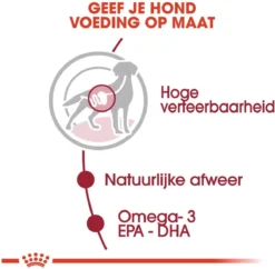 Royal Canin Shn Medium Adult Pouch - Hondenvoer - 10 X 140 G 14 Royal Canin Shn Medium Adult Pouch - Hondenvoer - 10 X 140 G -Hondenartikelen Winkel 1200x1175