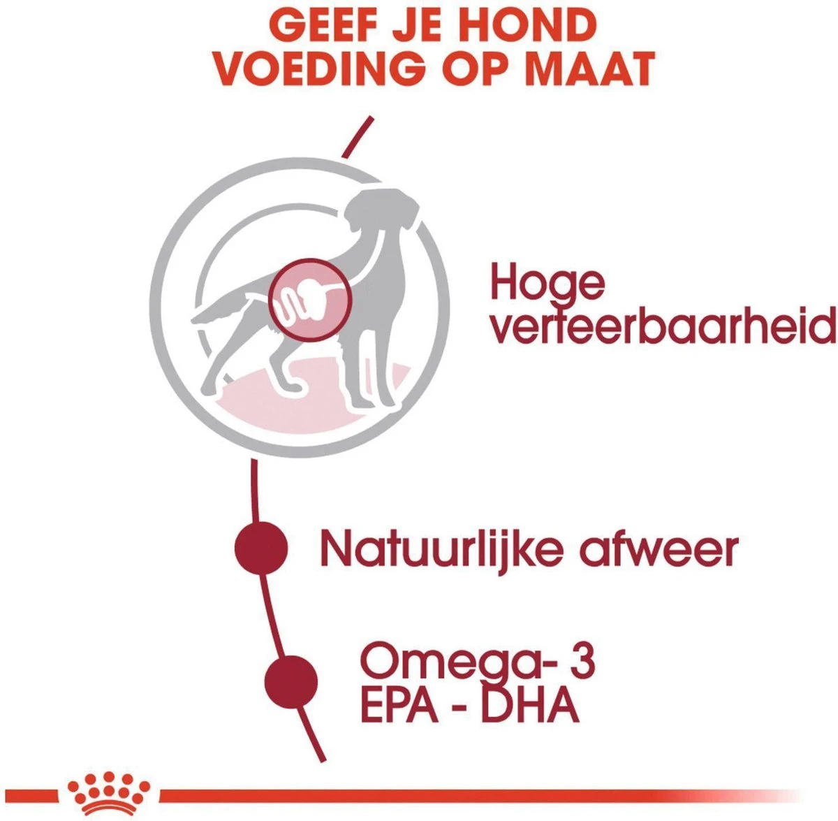 Royal Canin Shn Medium Adult Pouch - Hondenvoer - 10 X 140 G 5 Royal Canin Shn Medium Adult Pouch - Hondenvoer - 10 X 140 G - Afbeelding 5