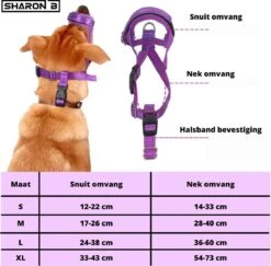 Sharon-B Muilkorf Turquoise Maat S - Fleece - Reflecterend - Kleine Hond -Hondenartikelen Winkel 1200x1179 7