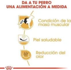 Royal Canin French Bulldog Adult 9 KG -Hondenartikelen Winkel 1200x1180