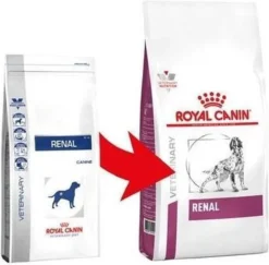 Royal Canin Renal - Hondenvoer - 2 Kg -Hondenartikelen Winkel 1200x1181