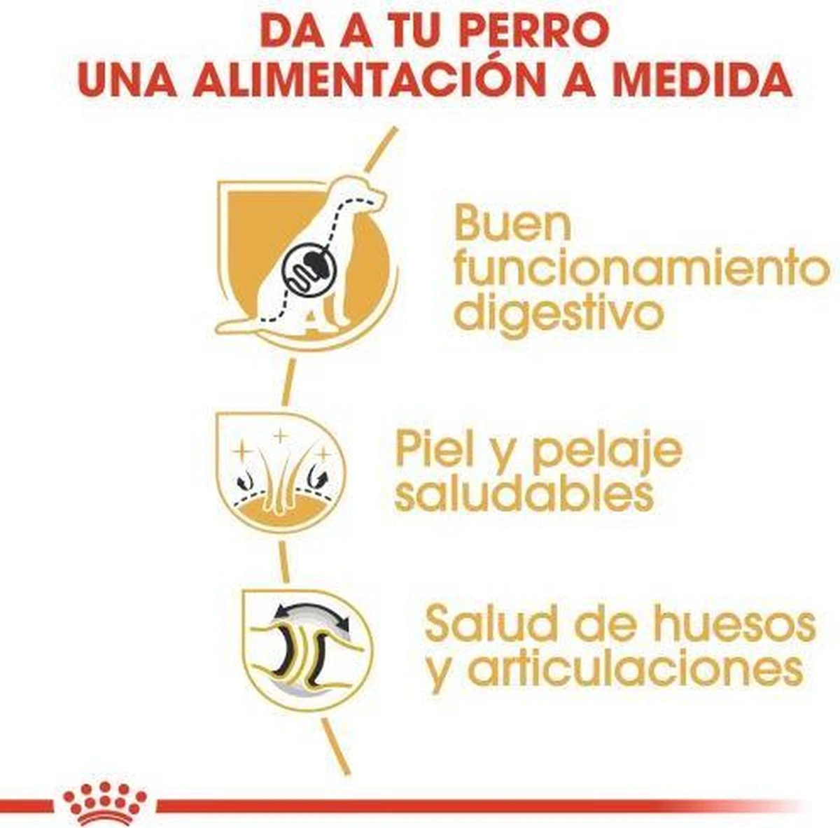 Royal Canin German Shepherd Adult 11 KG 6 Royal Canin German Shepherd Adult 11 KG - Afbeelding 6