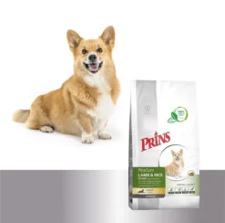 Prins ProCare Croque Lam & Rijst Senior 10 Kg - Hond 15 Prins ProCare Croque Lam & Rijst Senior 10 Kg - Hond -Hondenartikelen Winkel 1200x1185 3