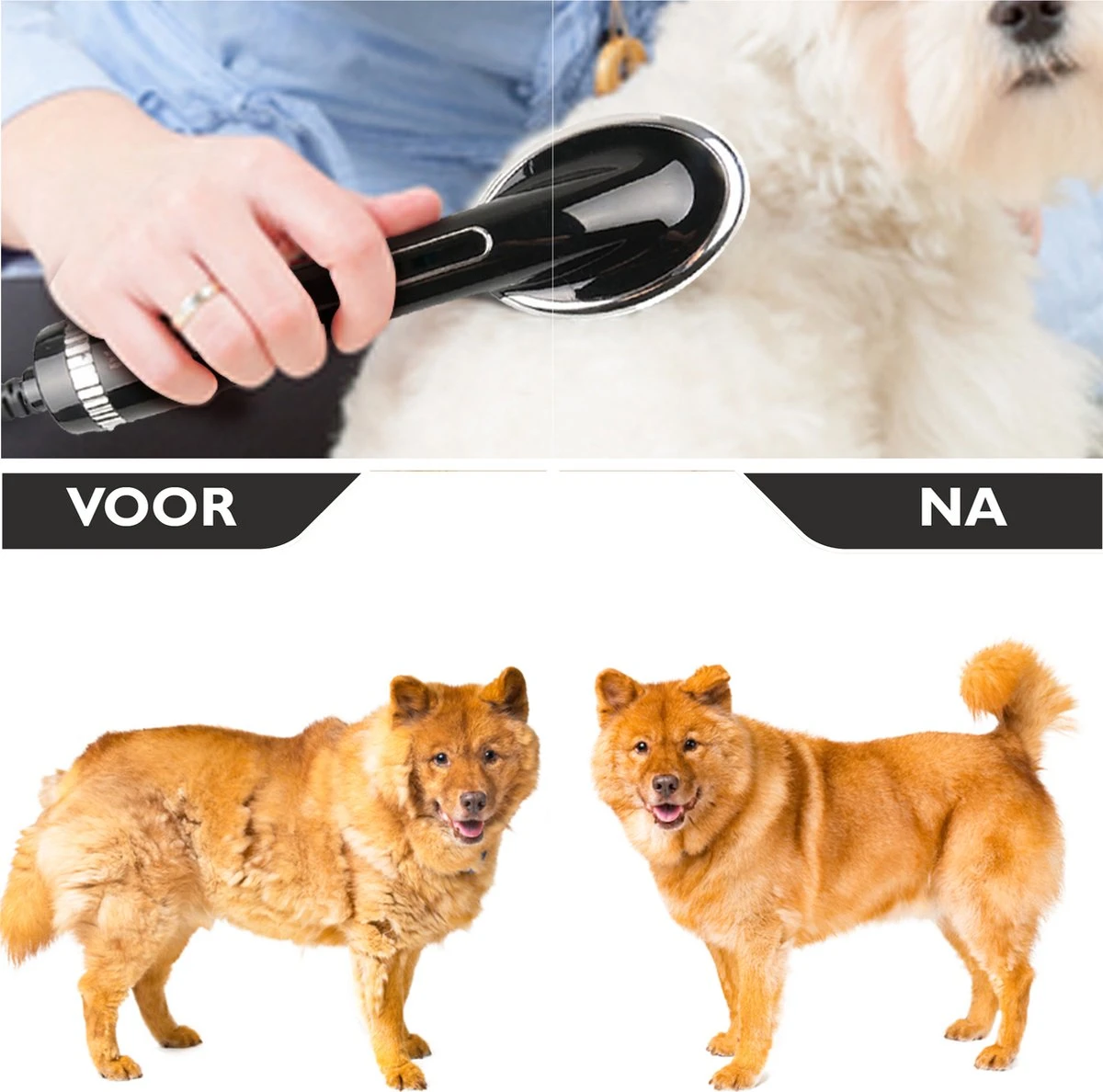 RoiPets® Hondenfohn 2 In 1 – 1000W - Honden Droger – Met Borstel - Waterblazer - Haar Verzorging - Honden Borstel Zwart - Honden/Katten/Dieren 2 RoiPets® Hondenfohn 2 In 1 – 1000W - Honden Droger – Met Borstel - Waterblazer - Haar Verzorging - Honden Borstel Zwart - Honden/Katten/Dieren - Afbeelding 2
