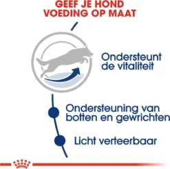 Royal Canin Maxi Adult 5+ Jaar Oud - Hondenvoer - 15 Kg -Hondenartikelen Winkel 1200x1190 3