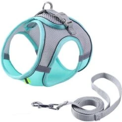 Hondentuigje Voor Kleine Puppy's & Kleine Honden - Blauw - Maat M -Hondenartikelen Winkel 1200x1195 24