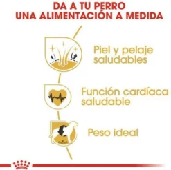 Royal Canin Golden Retriever 12 KG -Hondenartikelen Winkel 1200x1195