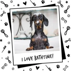 Bugalugs - Hondenshampoo - One In A Million - Alle Vachttypes - Fles Met Pompje - Vegan - 500 Ml 19 Bugalugs - Hondenshampoo - One In A Million - Alle Vachttypes - Fles Met Pompje - Vegan - 500 Ml -Hondenartikelen Winkel 1200x1196 18