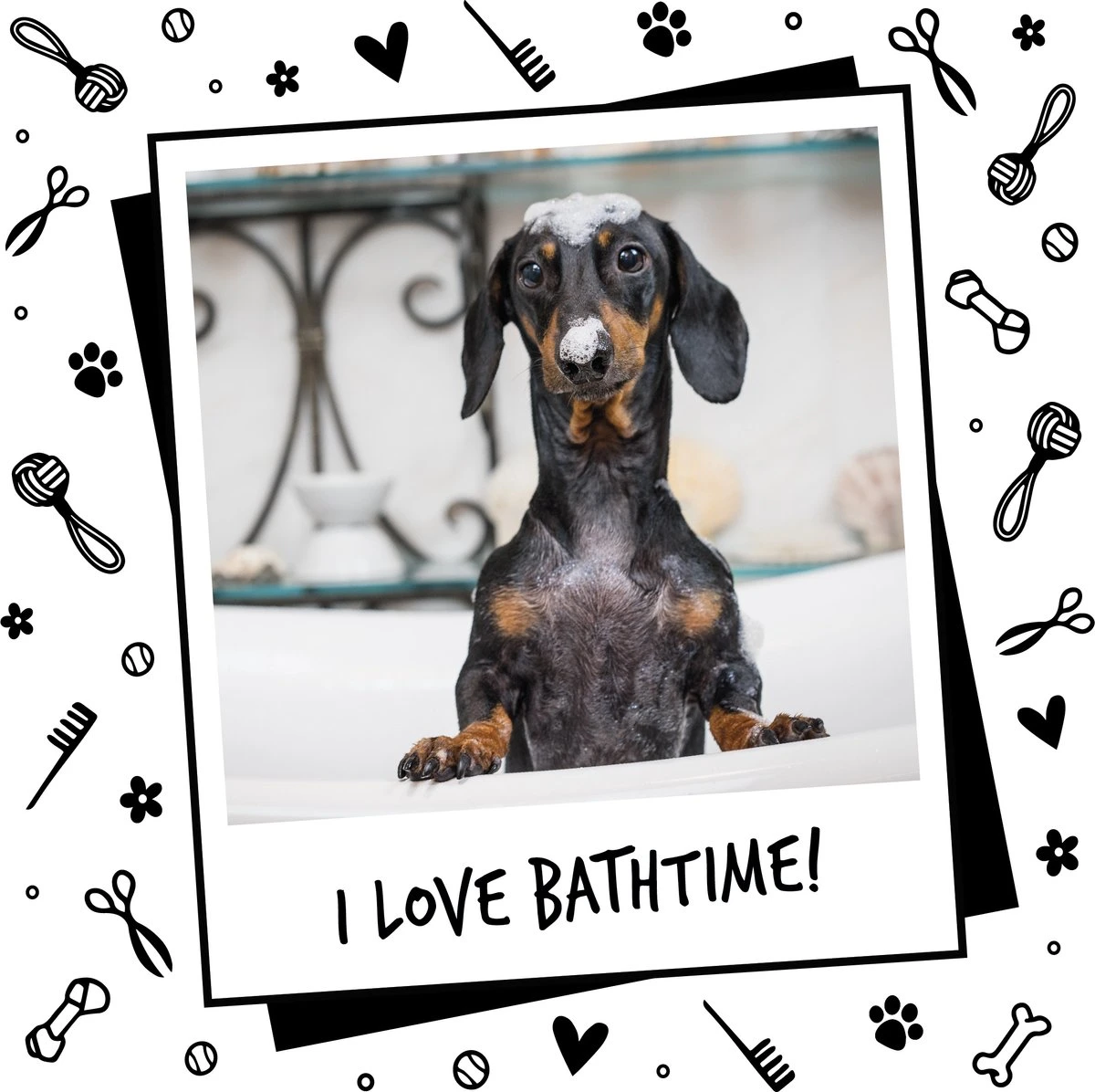 Bugalugs - Hondenshampoo - One In A Million - Alle Vachttypes - Fles Met Pompje - Vegan - 500 Ml 8 Bugalugs - Hondenshampoo - One In A Million - Alle Vachttypes - Fles Met Pompje - Vegan - 500 Ml - Afbeelding 8