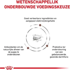 Royal Canin Gastro Intestinal Junior - Tot 12 Maanden - Hondenvoer - 10 Kg -Hondenartikelen Winkel 1200x1196 4
