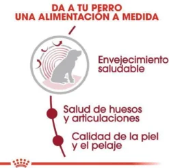 Royal Canin Medium Ageing 10+ - Hondenvoer - 15 Kg 20 Royal Canin Medium Ageing 10+ - Hondenvoer - 15 Kg -Hondenartikelen Winkel 1200x1197 1