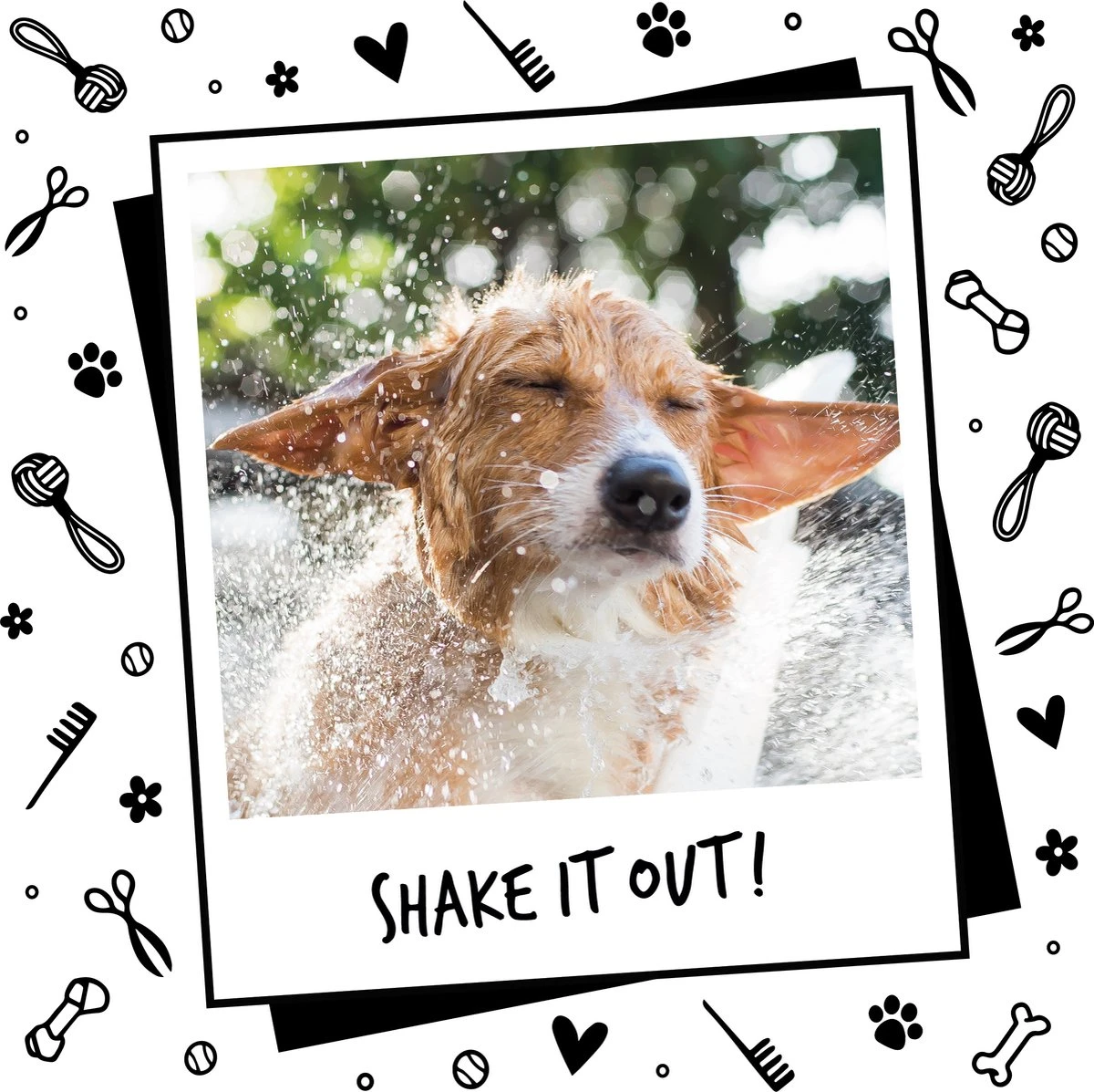 Bugalugs - Hondenshampoo - One In A Million - Alle Vachttypes - Fles Met Pompje - Vegan - 500 Ml 5 Bugalugs - Hondenshampoo - One In A Million - Alle Vachttypes - Fles Met Pompje - Vegan - 500 Ml - Afbeelding 5