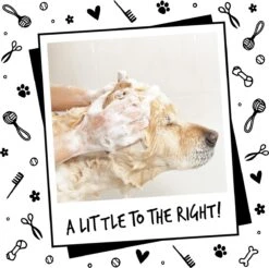 Bugalugs - Hondenshampoo - One In A Million - Alle Vachttypes - Fles Met Pompje - Vegan - 500 Ml 21 Bugalugs - Hondenshampoo - One In A Million - Alle Vachttypes - Fles Met Pompje - Vegan - 500 Ml -Hondenartikelen Winkel 1200x1197 24