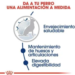 Royal Canin Maxi Ageing 8+ 15 KG 23 Royal Canin Maxi Ageing 8+ 15 KG -Hondenartikelen Winkel 1200x1197 7