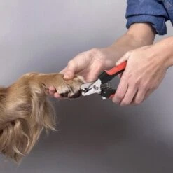 Merkloos Professionele Nagelschaar - Dieren Nagelschaar - Rood & Zwart - Honden Nagelknipper - Hondennagels - Honden Knip Schaar - Honden Knipsch -Hondenartikelen Winkel 1200x1198 32
