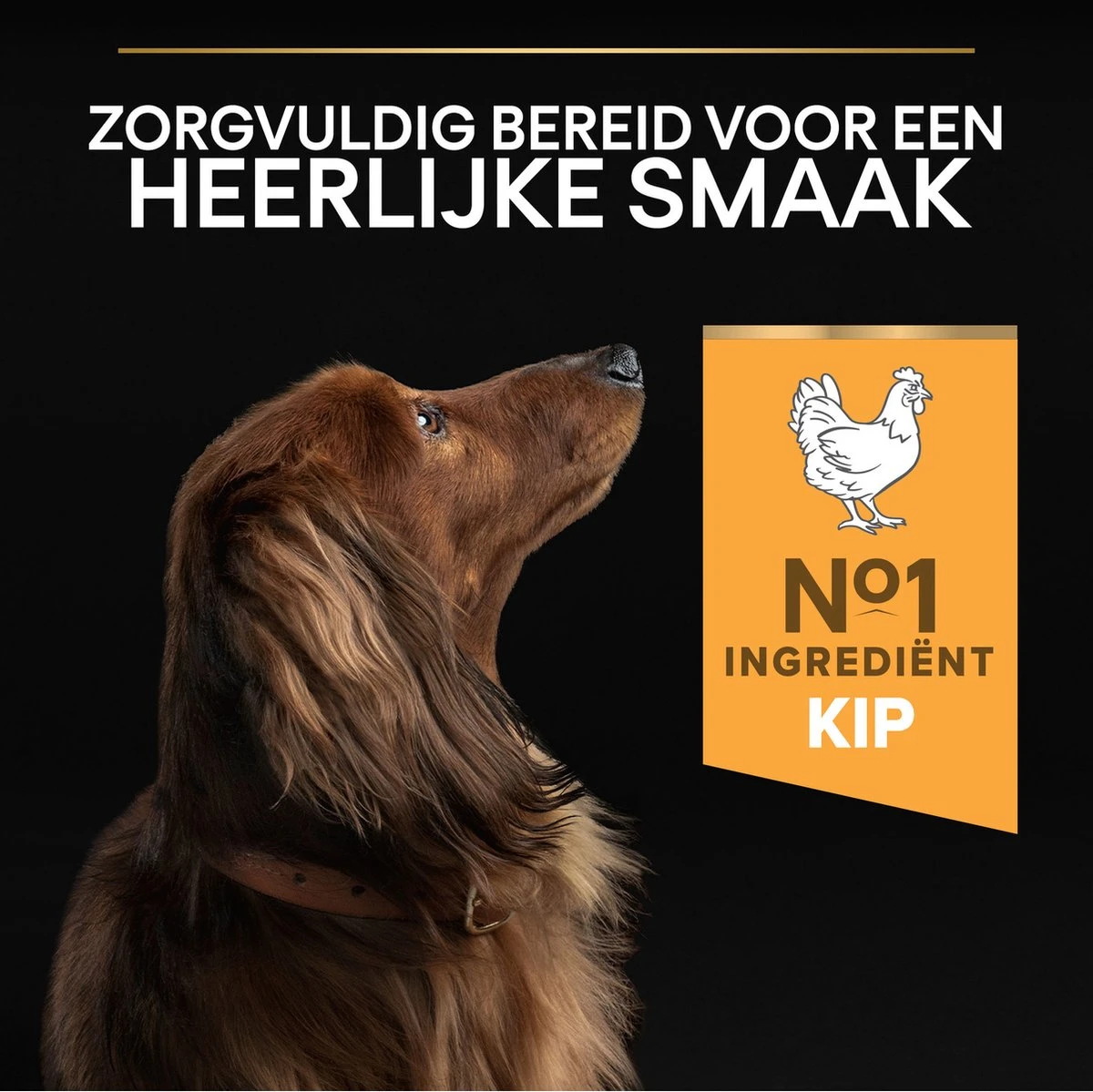 Pro Plan Everyday Nutrition Adult Small & Mini - Honden Droogvoer - Kip - 3 Kg 12 Pro Plan Everyday Nutrition Adult Small & Mini - Honden Droogvoer - Kip - 3 Kg - Afbeelding 12