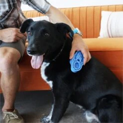 Kong Zoom Groom Hond 11 Kong Zoom Groom Hond -Hondenartikelen Winkel 1200x1199 36