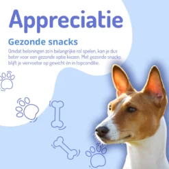 Animalgoods Gedroogde Snacks - Hondensnack - Varken - Varkensoorstukjes - 500 Gram - Hondensnacks - Honden - Snacks -Hondenartikelen Winkel 1200x1200 108