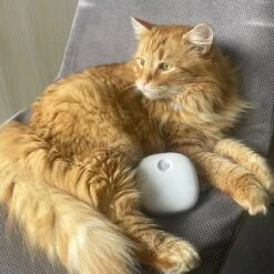 Pettadore Air Insight - Kattenbak Geurverdrijver & Teller - Actieve Zuurstof En Ionen - Oplaadbaar - Met App -Hondenartikelen Winkel 1200x1200 1082