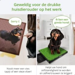 AWEMOZ Hondentoilet Kunstgras - Met 2 Matten En Opvangbak - 64x52x7,5cm - Puppy Pads - Zindelijkheidstraining Hond - Training Pads - Indoor / Outdoor Honden Toilet 13 AWEMOZ Hondentoilet Kunstgras - Met 2 Matten En Opvangbak - 64x52x7,5cm - Puppy Pads - Zindelijkheidstraining Hond - Training Pads - Indoor / Outdoor Honden Toilet -Hondenartikelen Winkel 1200x1200 1088