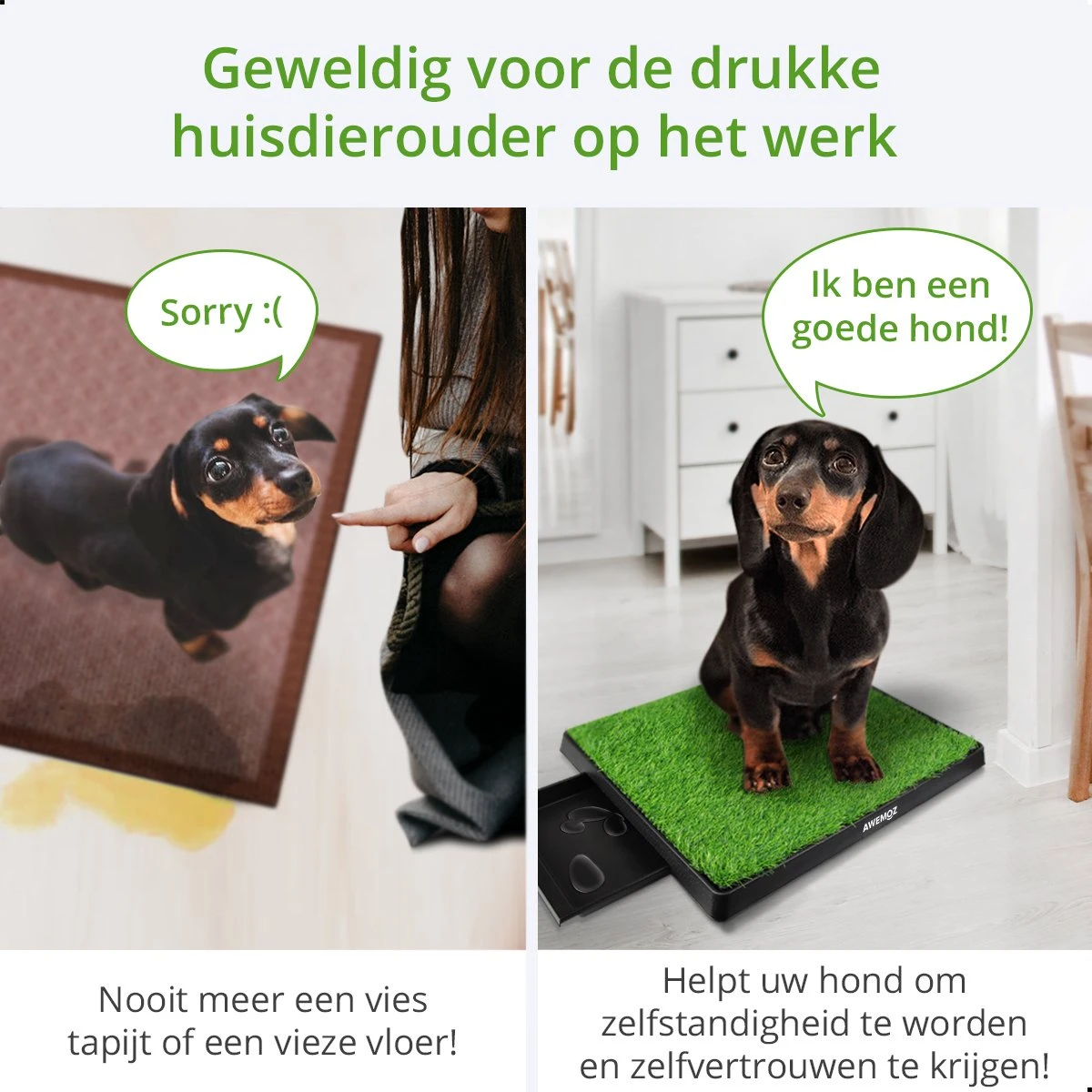 AWEMOZ Hondentoilet Kunstgras - Met 2 Matten En Opvangbak - 64x52x7,5cm - Puppy Pads - Zindelijkheidstraining Hond - Training Pads - Indoor / Outdoor Honden Toilet 5 AWEMOZ Hondentoilet Kunstgras - Met 2 Matten En Opvangbak - 64x52x7,5cm - Puppy Pads - Zindelijkheidstraining Hond - Training Pads - Indoor / Outdoor Honden Toilet - Afbeelding 5