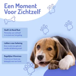 Animalgoods Gedroogde Snacks - Hondensnack - Varken - Varkensoorstukjes - 500 Gram - Hondensnacks - Honden - Snacks -Hondenartikelen Winkel 1200x1200 109