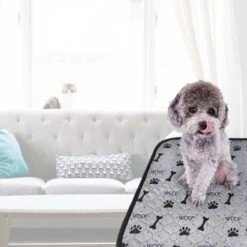 Jooba Puppy Training Pads - Wasbare Puppy Pads 2 Stuks - Hondentoilet - 70x50cm - Puppy -Hondenartikelen Winkel 1200x1200 1097