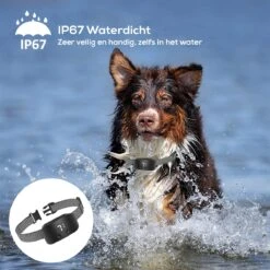 Salvano Anti Blafband - Blafband Voor Honden - Opvoedingshalsbanden - Voor Kleine En Grote Honden - Anti Blafband Zonder Schok- Oplaadbaar - Anti Blaf Apparaat - Blafband - Diervriendelijk -Hondenartikelen Winkel 1200x1200 1183