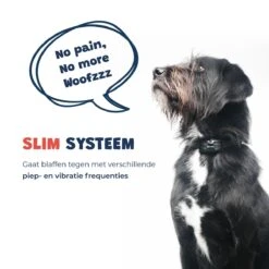 Anti Blafband - Blafband Voor Honden - Oplaadbaar - Anti Blaf Apparaat - Blafband - Diervriendelijk -Hondenartikelen Winkel 1200x1200 1200